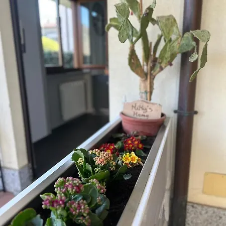 Apartamento Miky's
